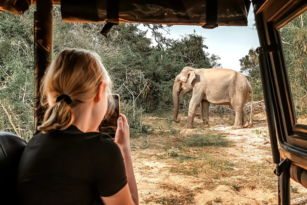 What personally hosted means luxury golf safari South Africa